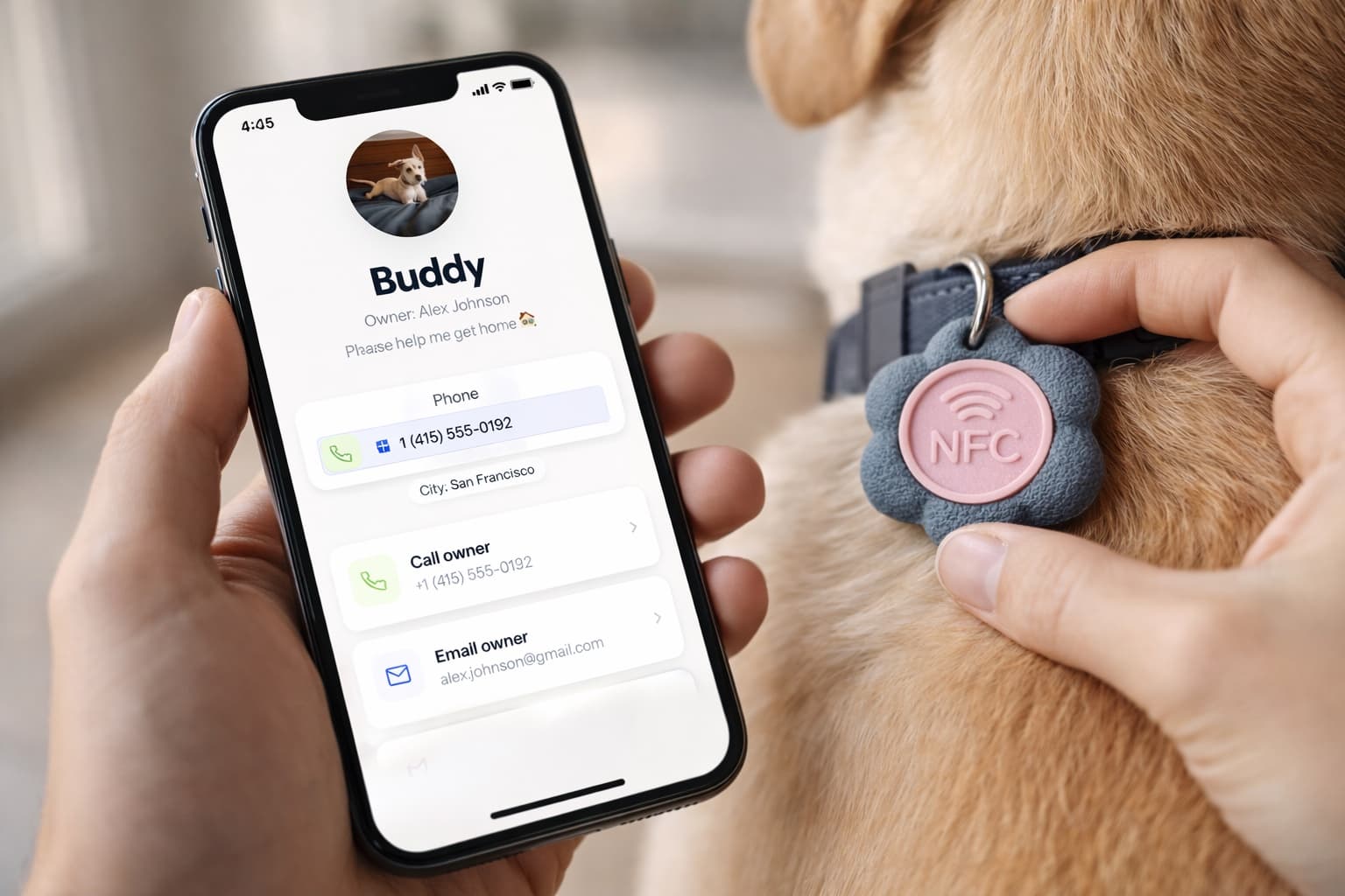 Finder hält iPhone an NFC-Tag am Hundehalsband — Bloomtag-Kontaktdaten erscheinen sofort